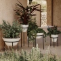 Daiza Planter | kolekcja garden | donica na stalowych nogach