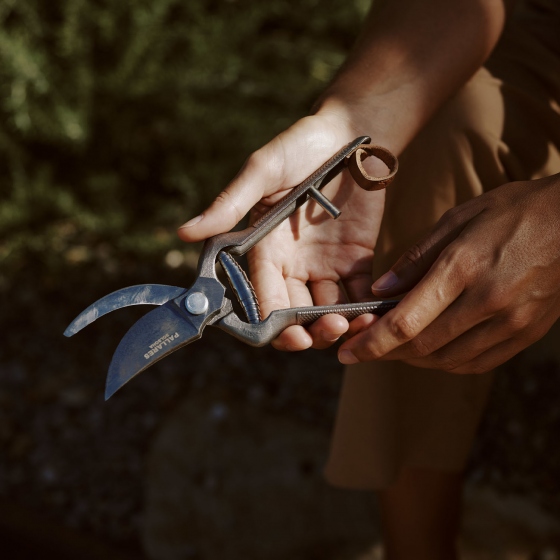 Pallarès × MENU Plant Shears | kolekcja garden | nożyce ogrodowe