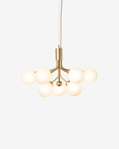 Apiales 9 | Żyrandol