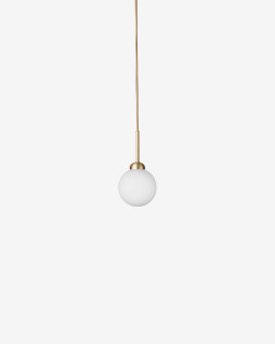 Apiales 1 | Lampa wisząca