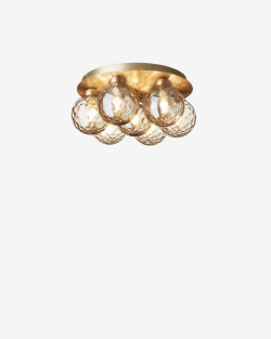 Apiales 7 Plafond | Plafon