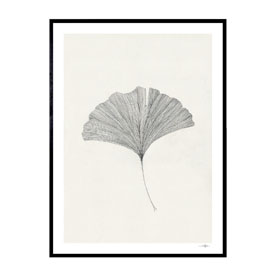 Grinko Leaf | Ana Frois