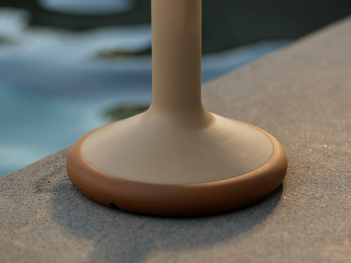 Zdjęcie dodatkowe 2