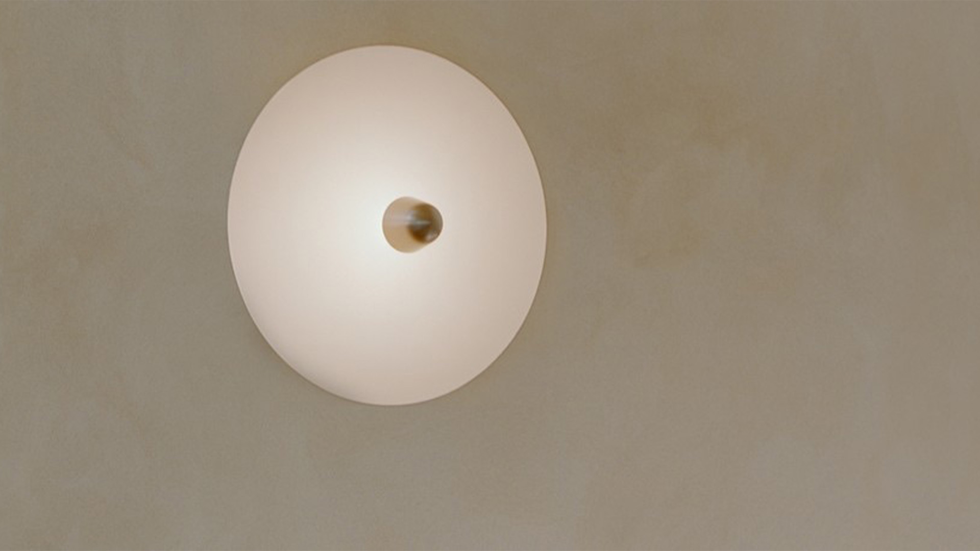 Zdjęcie dodatkowe 3