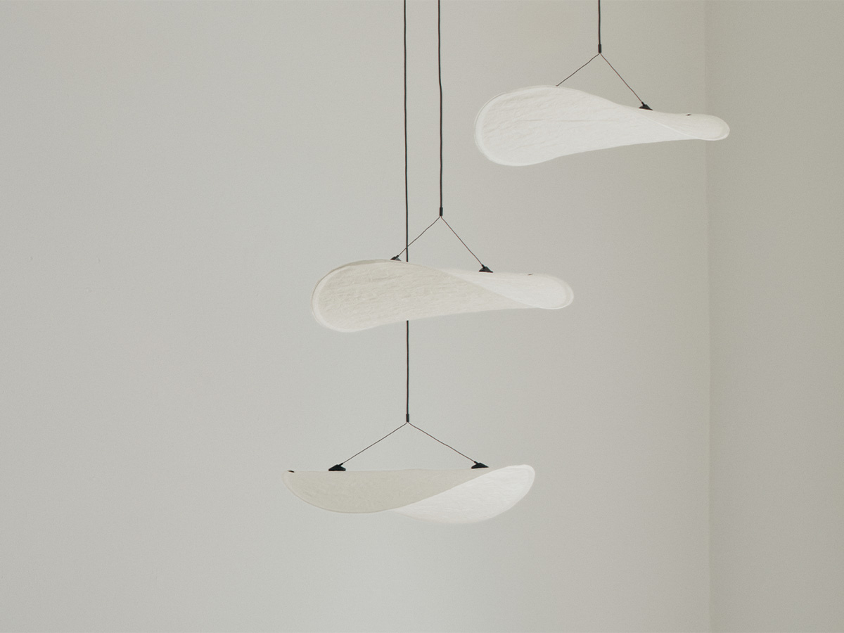 Zdjęcie dodatkowe 2