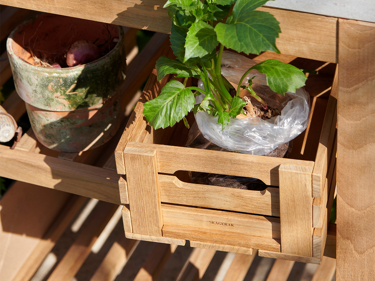 Zdjęcie dodatkowe 2